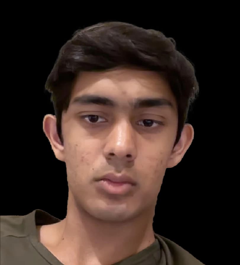 Rohan Sinha avatar