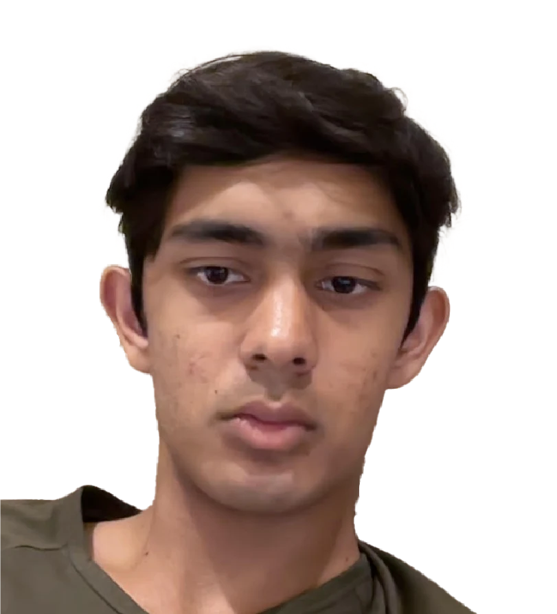 Rohan Sinha avatar